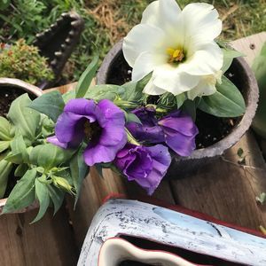 Meet your Posher, Carey